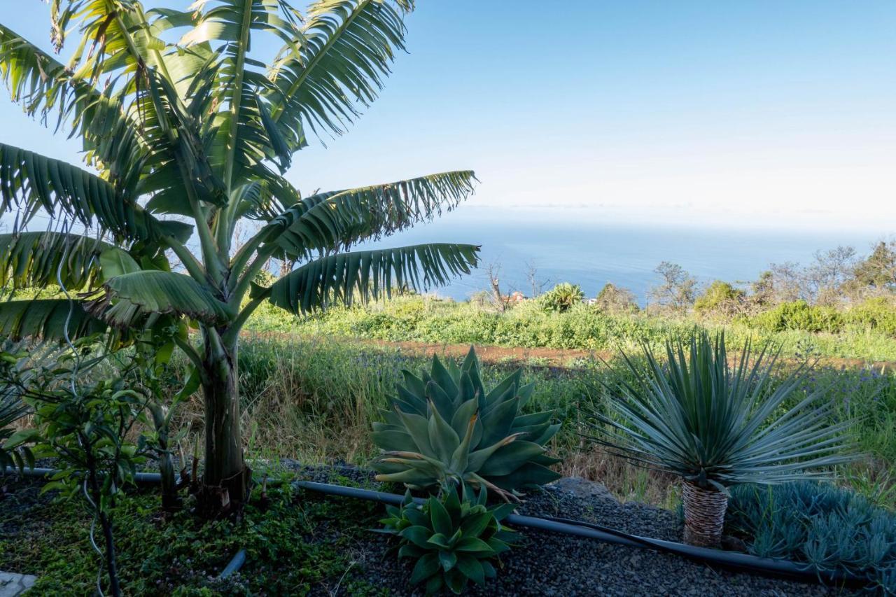 Hrlos Piratas - Ferien Haus La Palma - Good Wlan !! Tijarafe