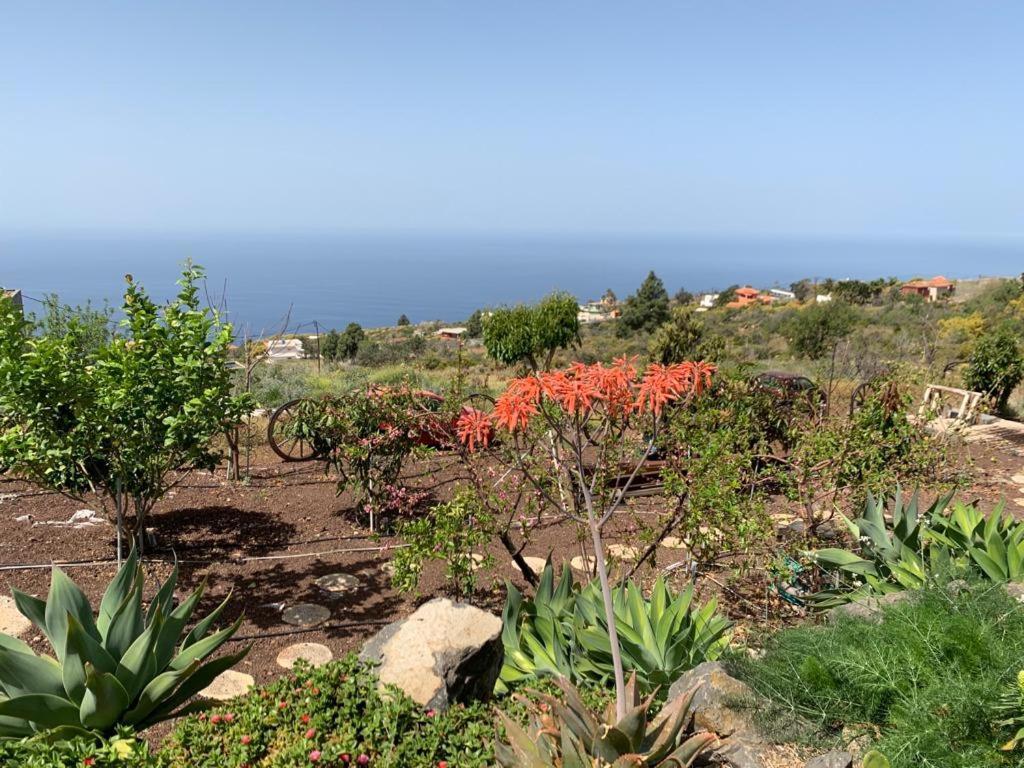 Hrlos Piratas - Ferien Haus La Palma - Good Wlan !! 4* Tijarafe